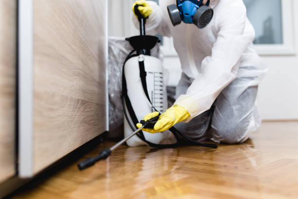 Best Affordable Pest Control Services  in Valdese, NC