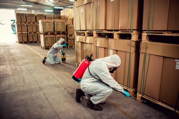 Flea Control Services in Valdese, NC