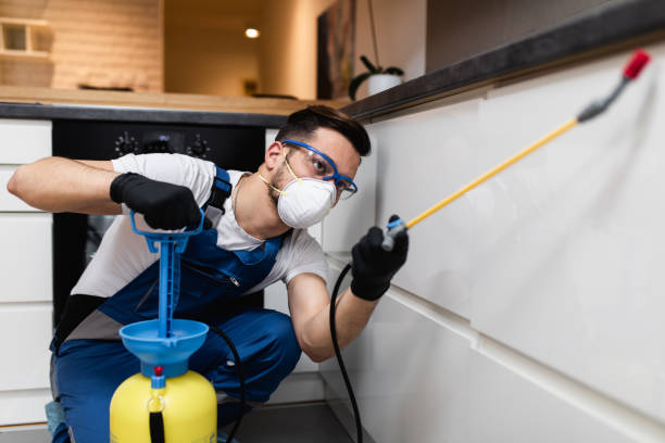 Best Bed Bug Extermination  in Valdese, NC