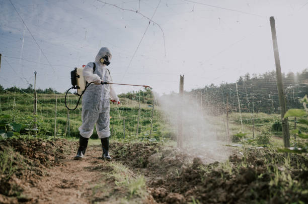 Best Mosquito Control Services  in Valdese, NC