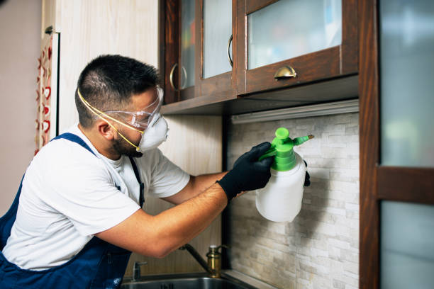 Best Affordable Pest Control Services  in Valdese, NC