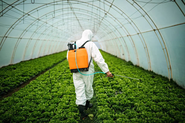 Best Pest Removal Services  in Valdese, NC