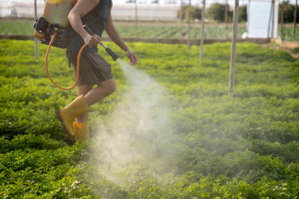 Best Best Pest Control Companies  in Valdese, NC