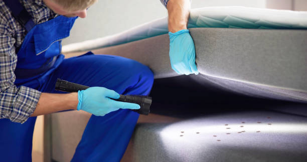 Professional Pest Control in Valdese, NC