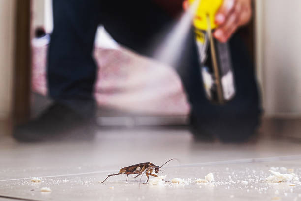 Best Exterminator Services  in Valdese, NC