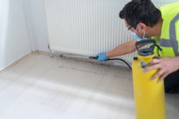 Best Commercial Pest Control Services  in Valdese, NC