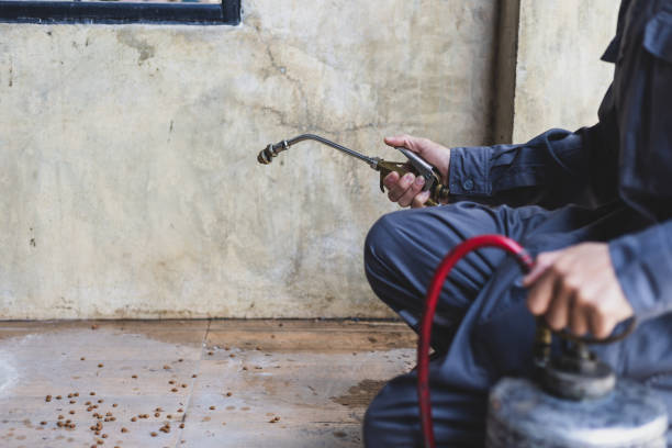 Best Residential Pest Control  in Valdese, NC