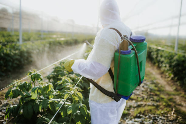 Best Residential Pest Control  in Valdese, NC